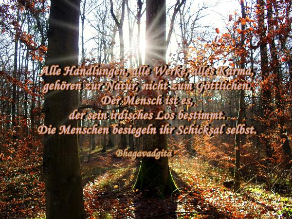 der-mensch-besiegelt-sein-schicksal-selbst
