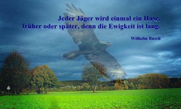 jeder-jaeger-wird-einmal-ein-hase-w-busch