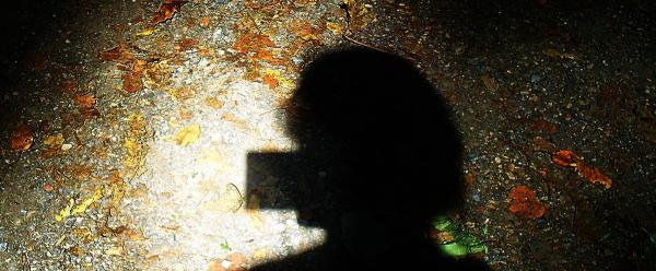 mein-wegwaldschmetterling-vom-vergangenem-jahr-rennt-auf-waldweg-hin-und-her-anf-sep