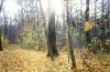 nov-herbst2012