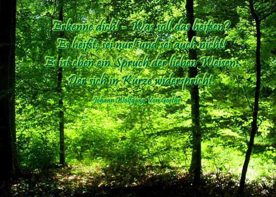erkenne-dich-goethe