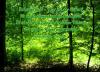 erkenne-dich-goethe