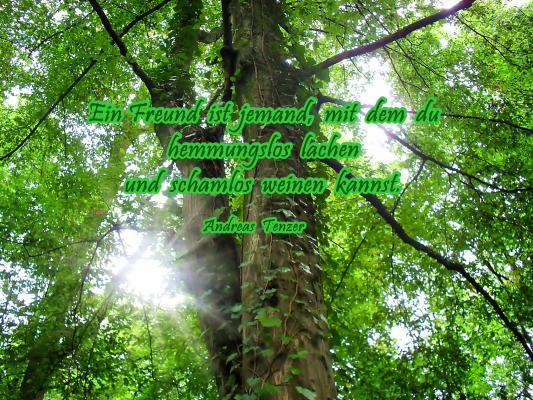 mein-tempel-ich-glaub-an-die-liebe-ein-freund