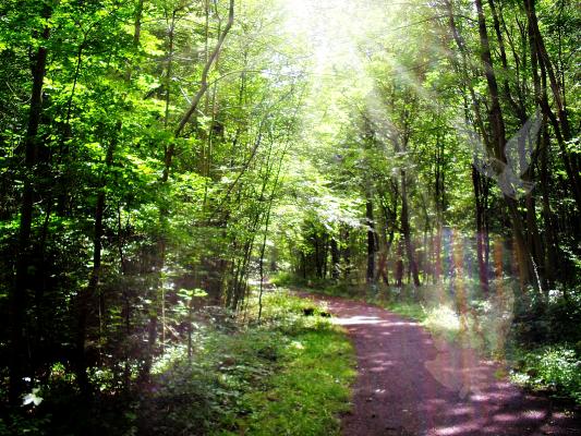mystische-sonnenreflektionen-meine-brille-ist-das-nicht-uuups