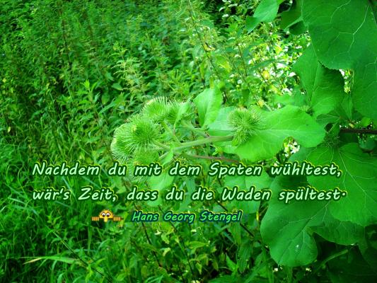 stengel-die-2-