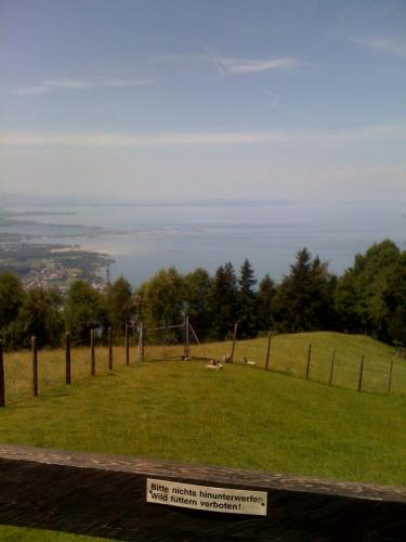 Foto3