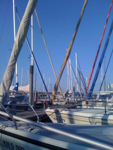 Foto8