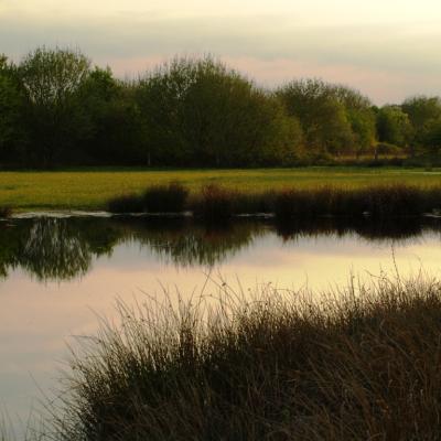 Crosewicker-Feld-126