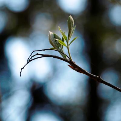Luenten-Fischteiche-053