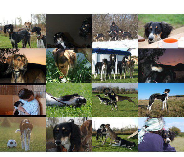 16864_1236963816080_1588795033_30608255_1236007_n