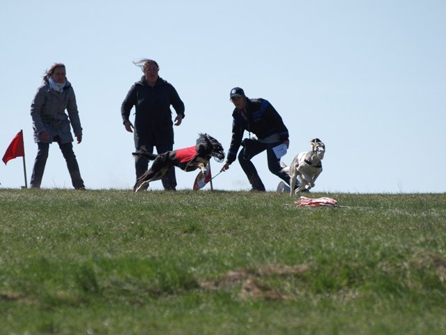 205435_1634108223421_1558162427_31315915_8211506_n