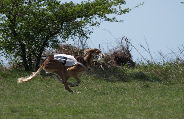 206431_1634111503503_1558162427_31315939_1234845_n