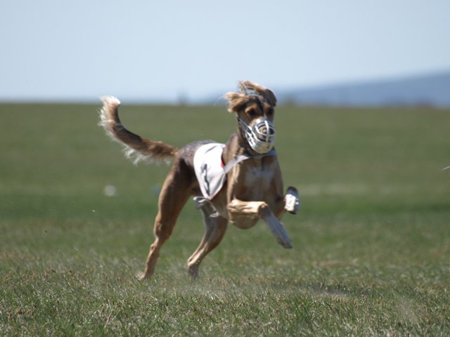 206787_1634112303523_1558162427_31315943_2897014_n