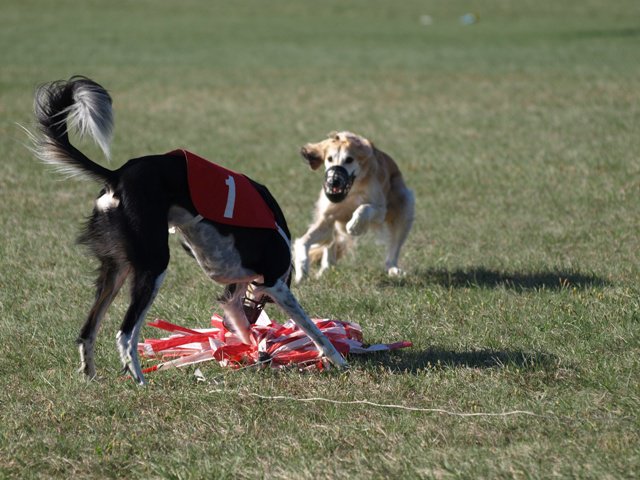 206967_1634095423101_1558162427_31315820_3046078_n