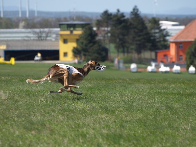 207971_1634111863512_1558162427_31315941_7005381_n