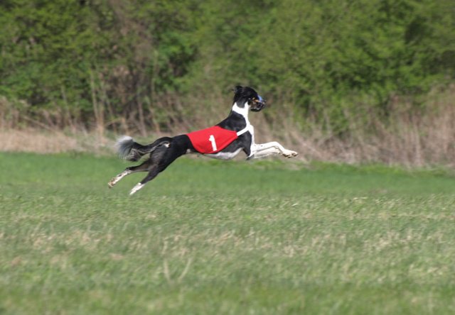 215302_1634124623831_1558162427_31316000_4798473_n