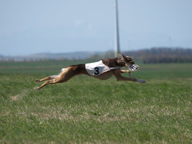 215306_1634111703508_1558162427_31315940_7876717_n