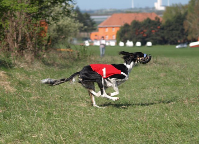 216854_1634094983090_1558162427_31315818_107586_n