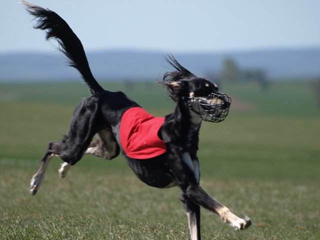 217126_1634109663457_1558162427_31315926_1750616_n