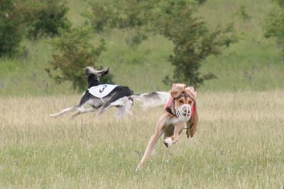 2505914605_3391ff77af