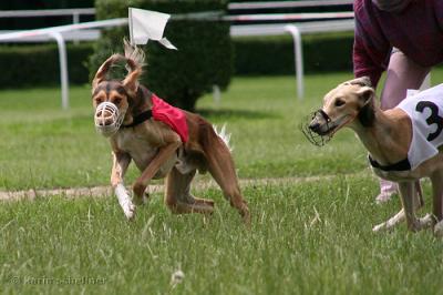 2559301466_0b90e2f648