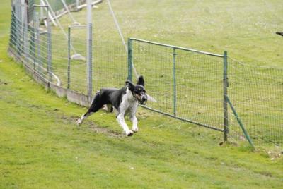 25806_1285375462689_1479214651_30715511_340991_n