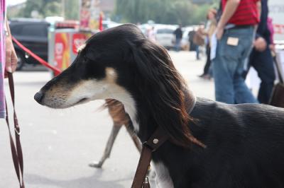 2892580492_cf6e272602