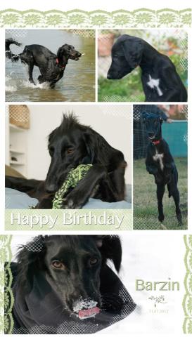 378308_405695926154776_1924923374_n