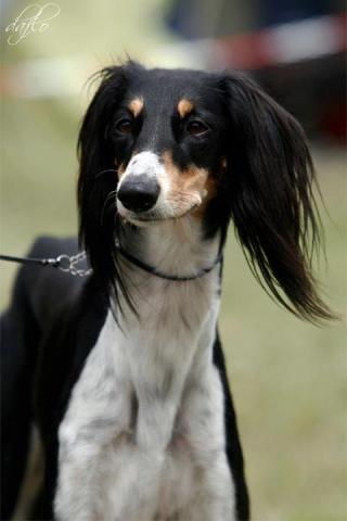 538160_3842026923338_1483066059_n