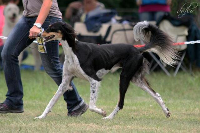 556518_3842030803435_1669545182_n