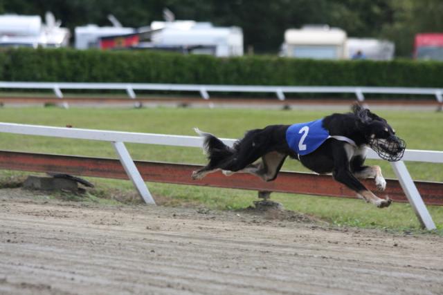 59511_1382646845602_1214883880_30897295_612230_n