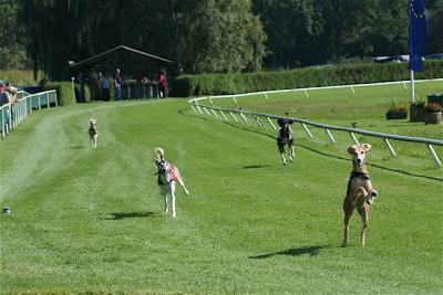 61839_159585304054217_100000082444624_518978_5049156_n