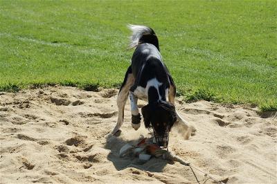 62252_159585117387569_100000082444624_518970_5253432_n