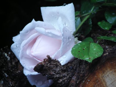 alt-und-neu_8825