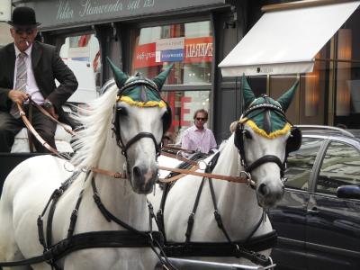 wien1_5769
