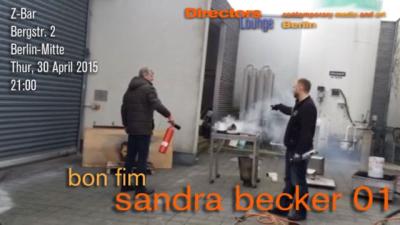 SandraFlyer