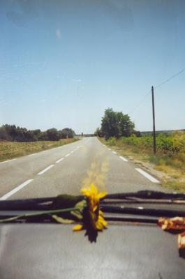 Auto_Strasse