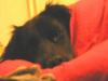 Nelly_Bett_kuschelt_3