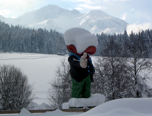 auch tirol ist sich der verantwortung bewußt !