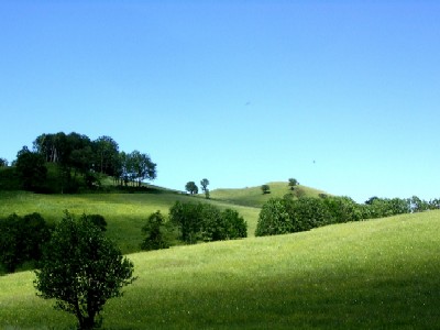 landschaft im hofnergraben