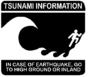 tsunami2