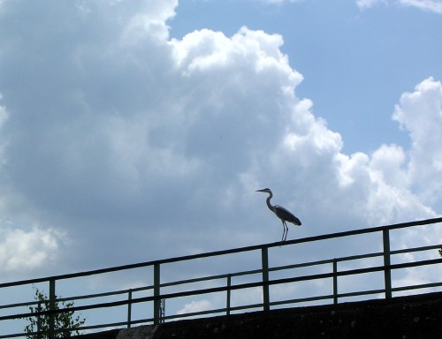 radweg wienfluss