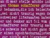 PatentOchsner-ThomasSchafferer-Ausschnitt