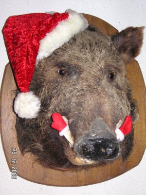 um-weihnachten-06-026