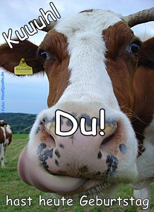 Die kann was, das kannst Du auch. Und noch jemand, den Du kennst.