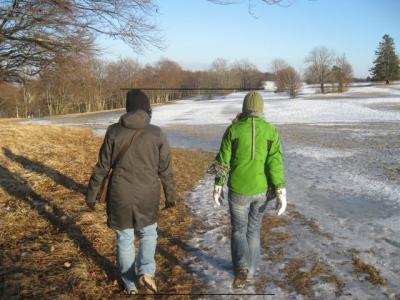 Bibi-und-Steffi-im-vergleich