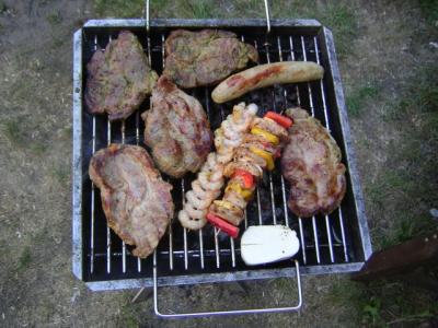 hofgrillen00