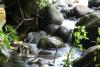 nature
<br />
pic by klaas voget