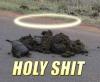 holyshit