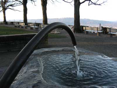 brunnen-baeumli